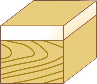 Bündigfr. Anlau. Hw 16X25,4X70 S8 Fortis - 12080